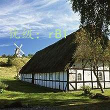 ı